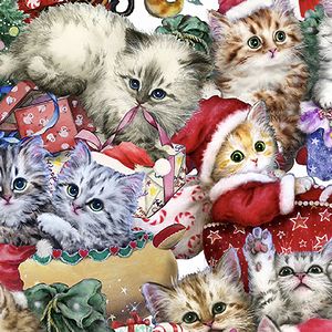 *Studio E Fabrics* Kitten Christmas Kayomi Harai