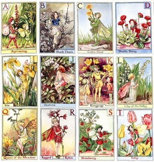 *Michael Miller* Alphabet Flower Fairies Panel